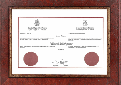 Ontario Business Registry — Accredited Filing Agent
